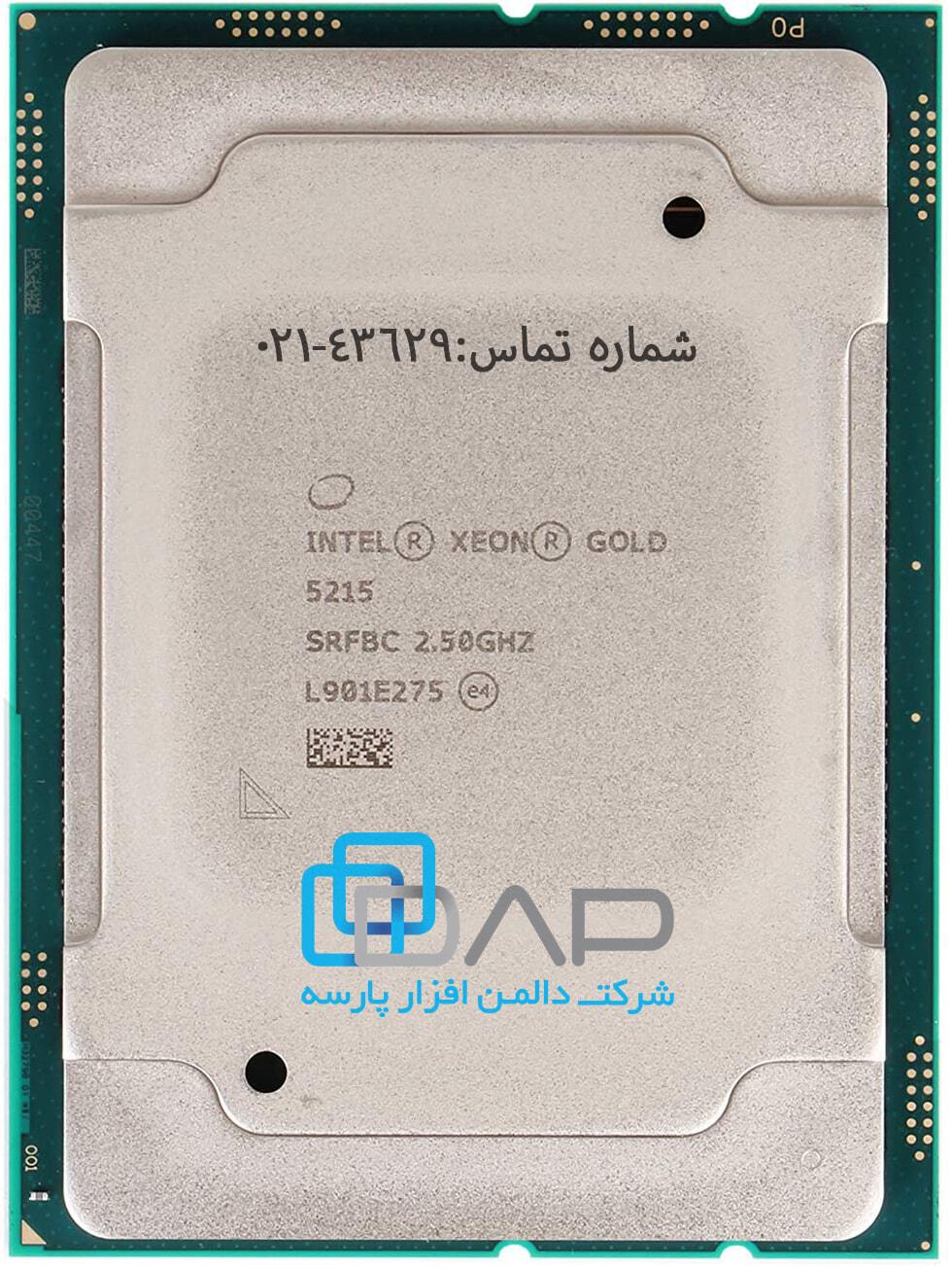  Intel CPU(Xeon-Gold 5215) 